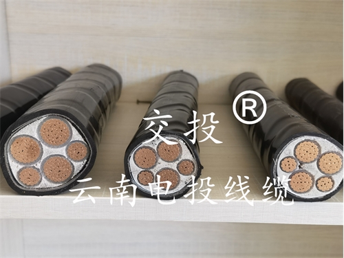 云南國(guó)標(biāo)電纜-昆明電線(xiàn)電纜廠(chǎng)-昆明國(guó)標(biāo)銅芯電纜