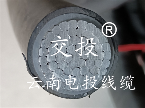 昆明LGJ鋼絞線(xiàn)電纜廠(chǎng)實(shí)時(shí)更新